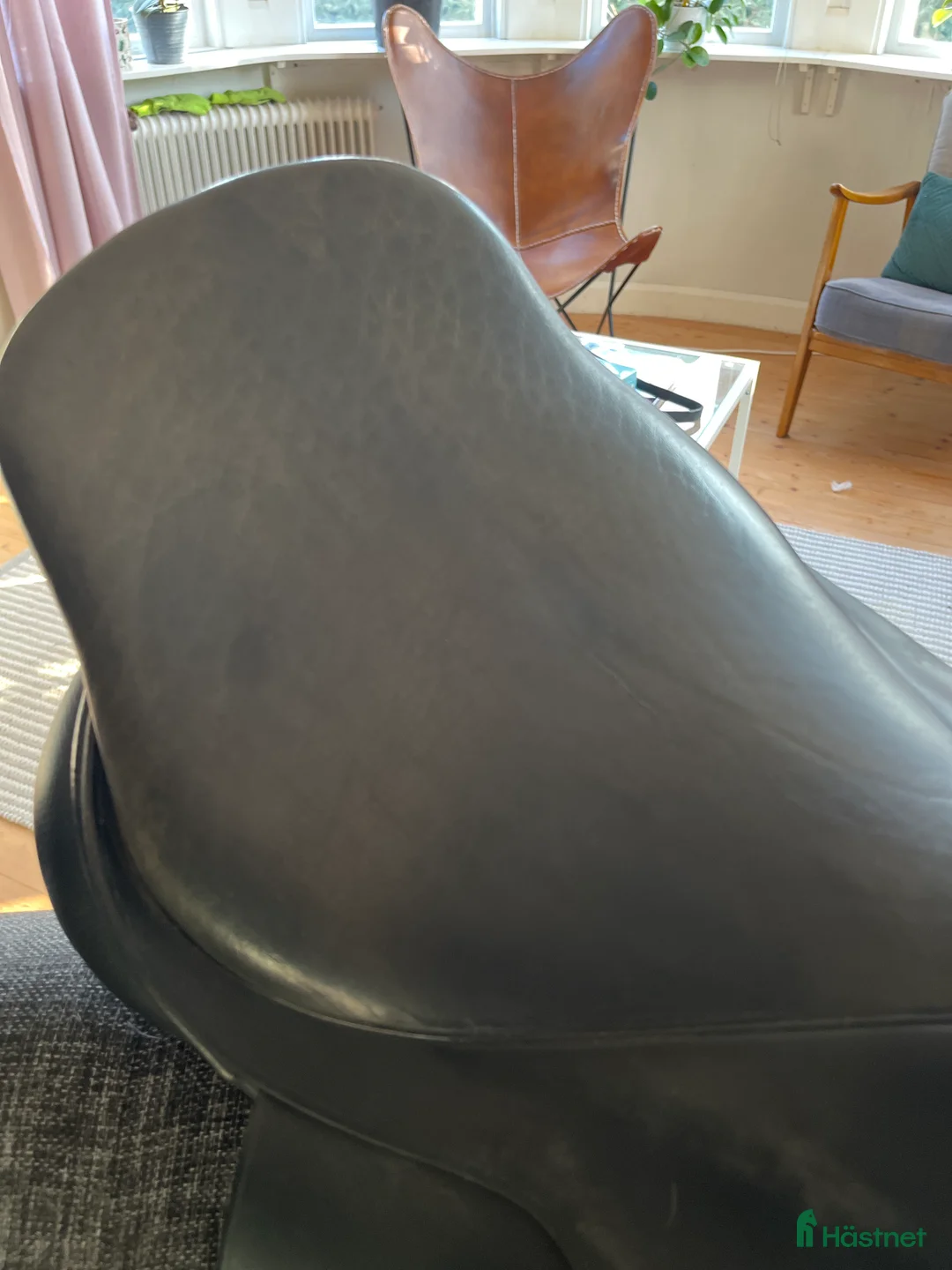 Sadlar hästutrustning till salu: Anky dressyrsadel  - Annons 5