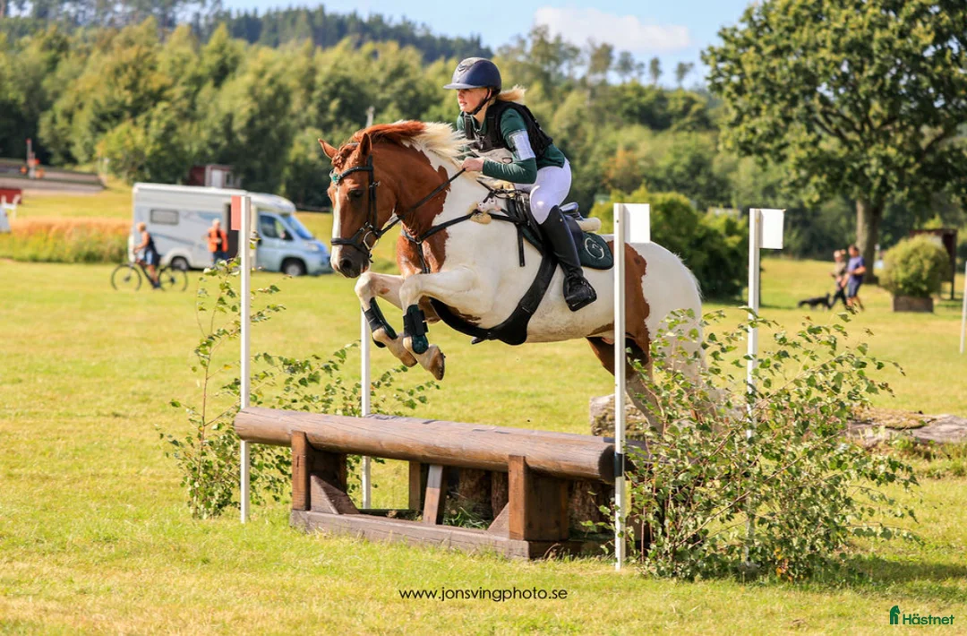 Galleribild {{count}}