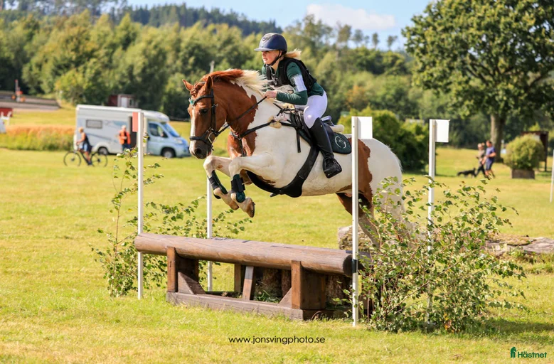 Galleribild {{count}}