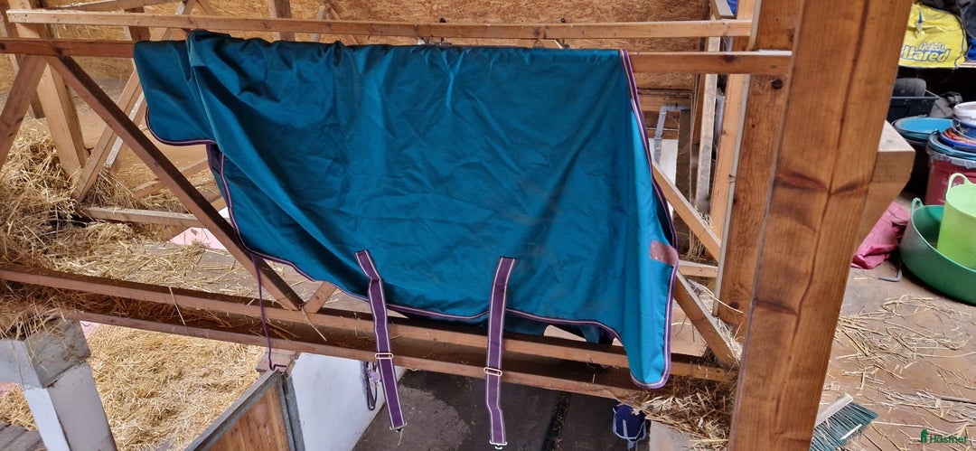 Täcken hästutrustning till salu: Täcken stl 125-135 i Lund - Annons 1