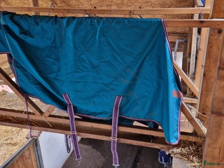 Täcken hästutrustning till salu: Täcken stl 125-135 i Lund - Annons 1