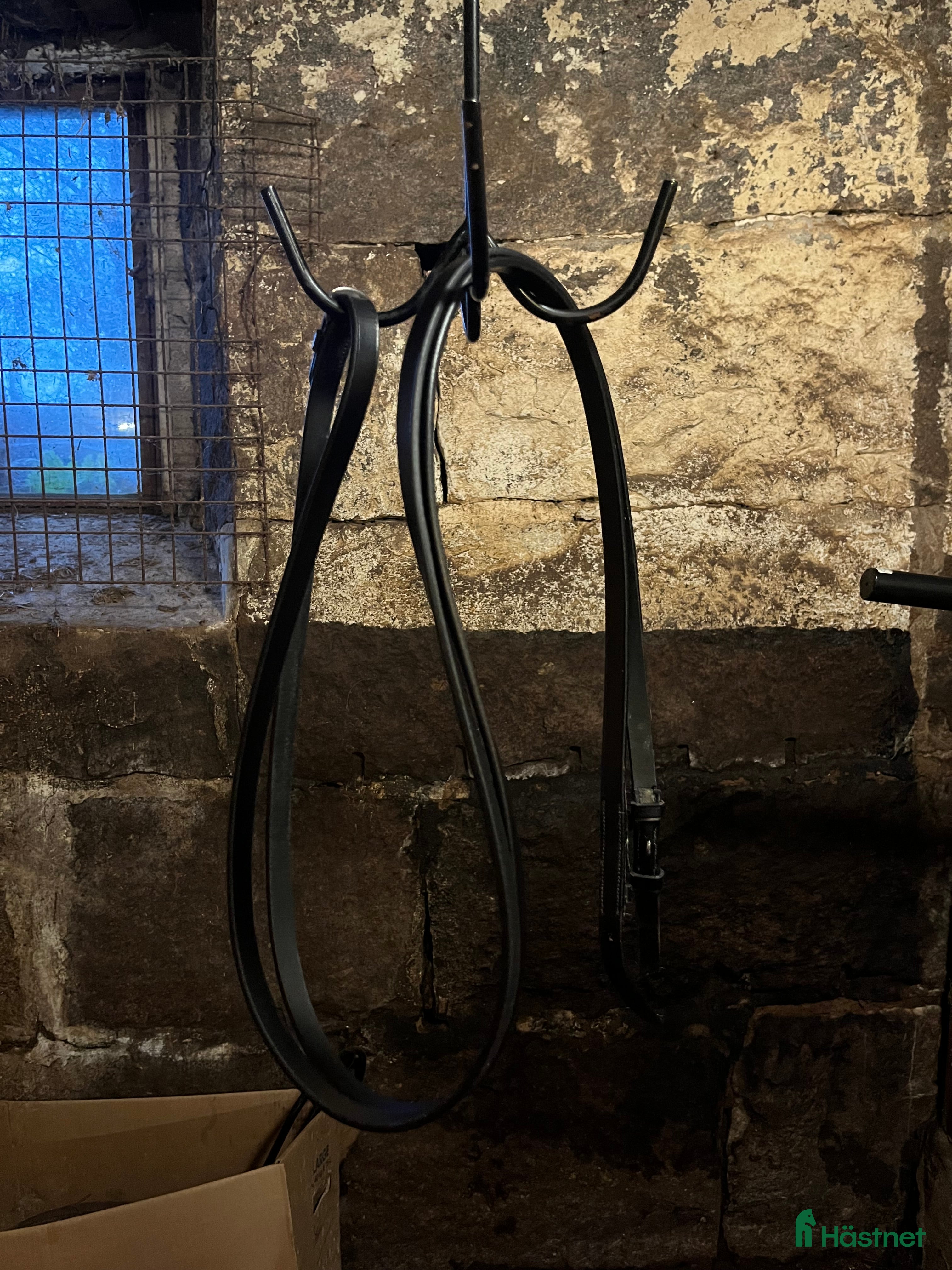 Träns hästutrustning till salu: Lädertyglar i Håcksvik - Annons 5