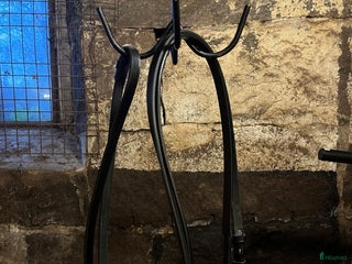 Träns hästutrustning till salu: Lädertyglar i Håcksvik - Annons 3