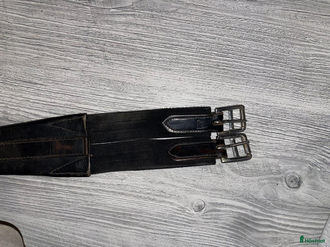 Sadeltillbehör hästutrustning till salu: Sadelgjordar och Schabrak  i Täby - Annons 4