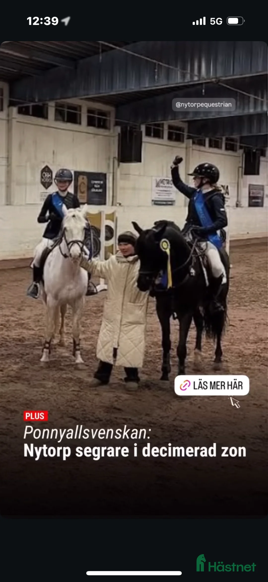 Hoppning hästar till salu: Läromästare och bästa vän!! - Annons 13
