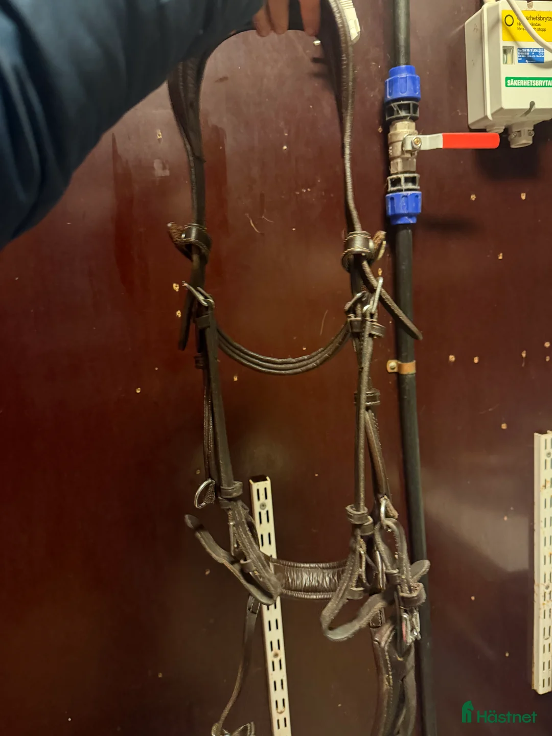 Träns hästutrustning till salu: Ps träns - Annons 6