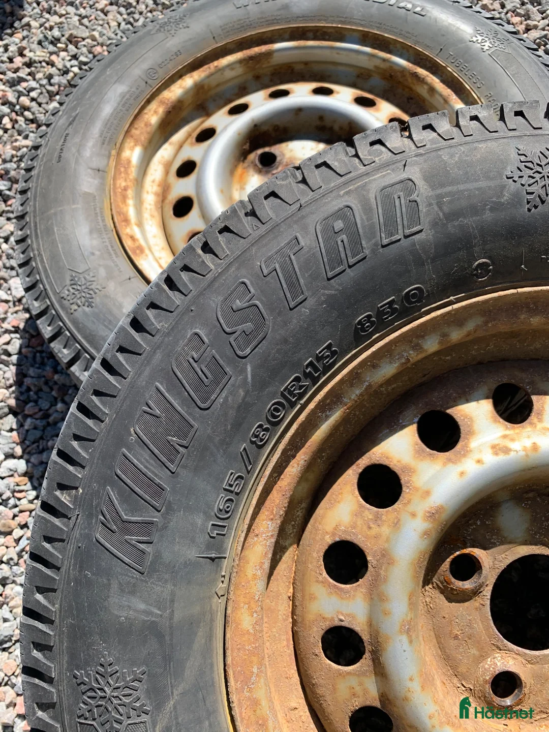 Hästtransporter  fordon & transport till salu: Star trailer med plastgolv - Annons 10