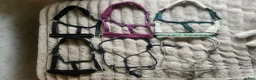 Övrig Hästutrustning hästutrustning till salu: Billiga grimmor till salu i Linköping - Annons 1