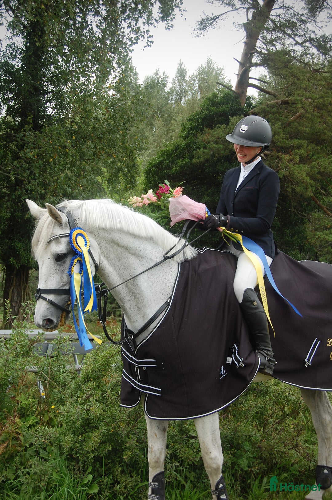 Allround hästar till salu: Sagohäst till salu i Visby - Annons 2