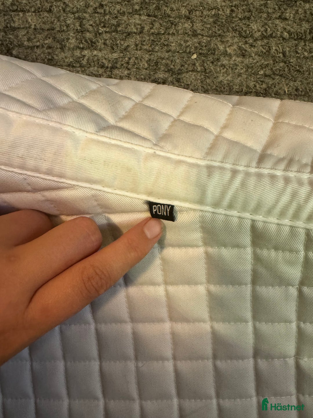 Schabrak & Vojlockar hästutrustning till salu: Trinity Hoppschabrak i Tolg - Annons 3