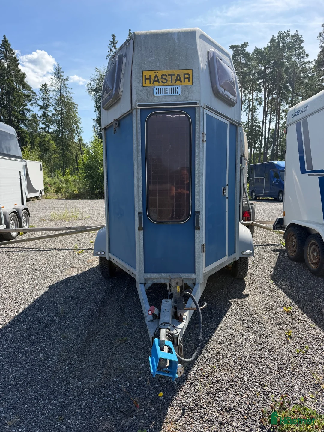 Hästtransporter  fordon & transport till salu: Låg totalvikt + nybesiktad! Thule Star Safir - Annons 2