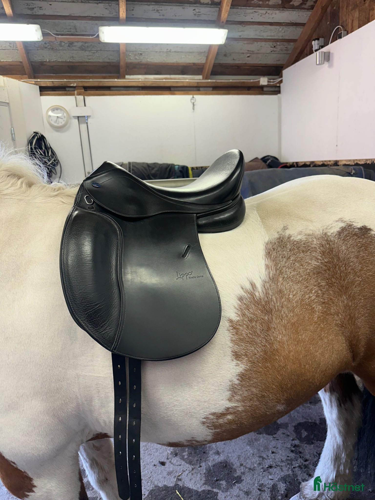 Sadlar hästutrustning Lippo Rivello Doma i toppskick  - Annons 1