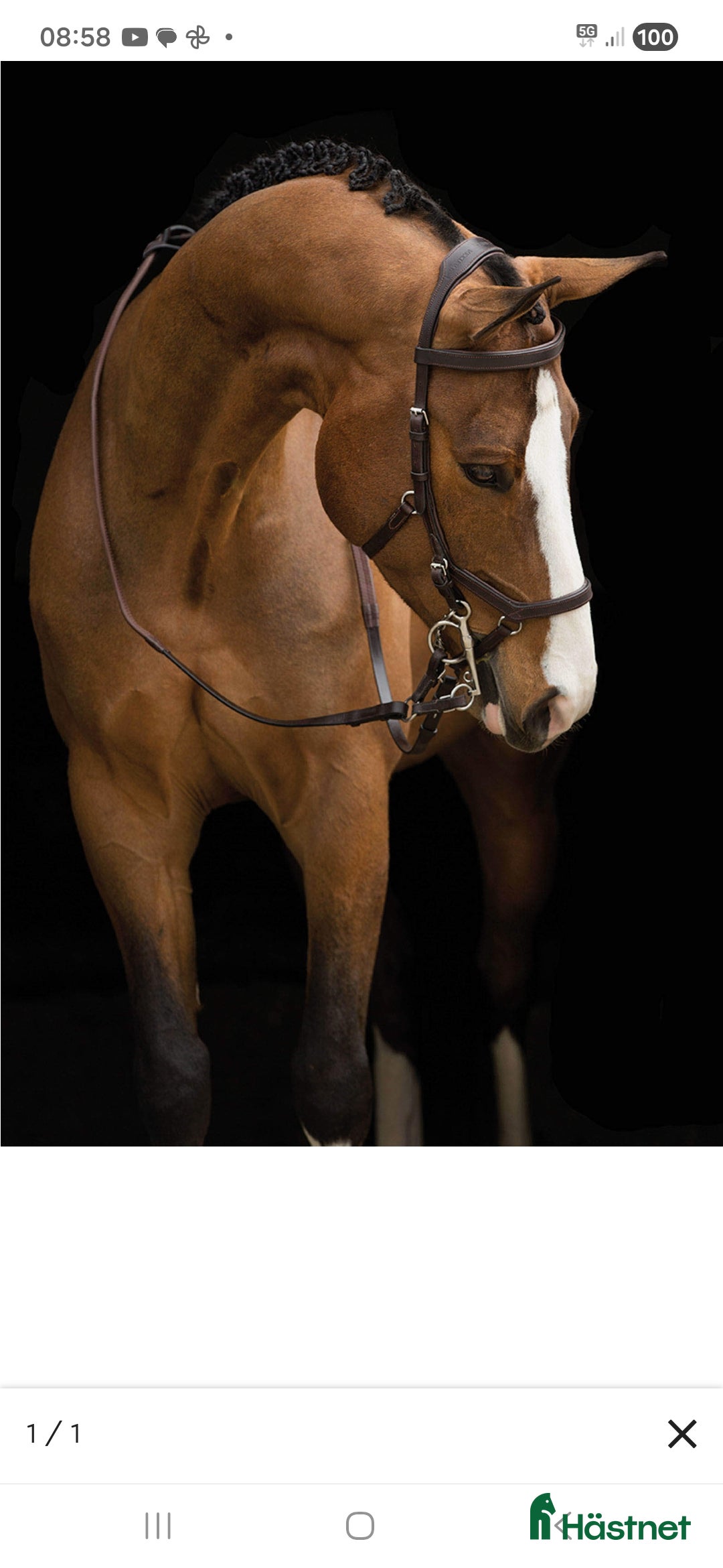 Träns hästutrustning till salu: Micklem träns i fint skick i Svärdsjö - Annons 1