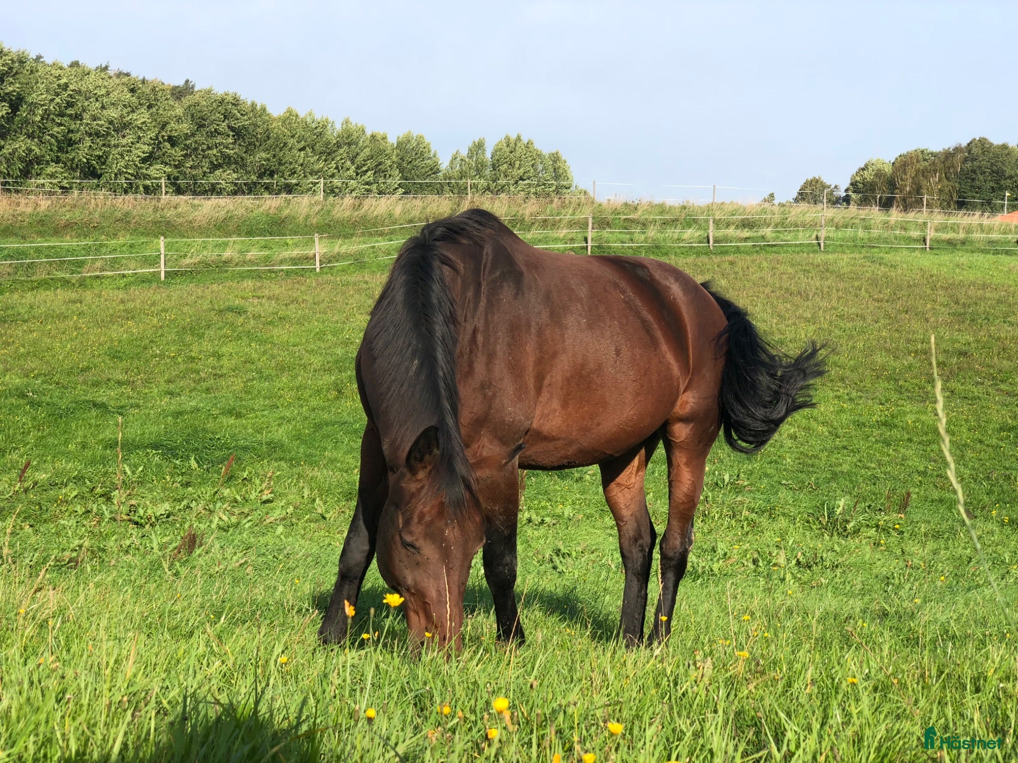  stallplats Stallplats i Nol/Alafors - Annons 17