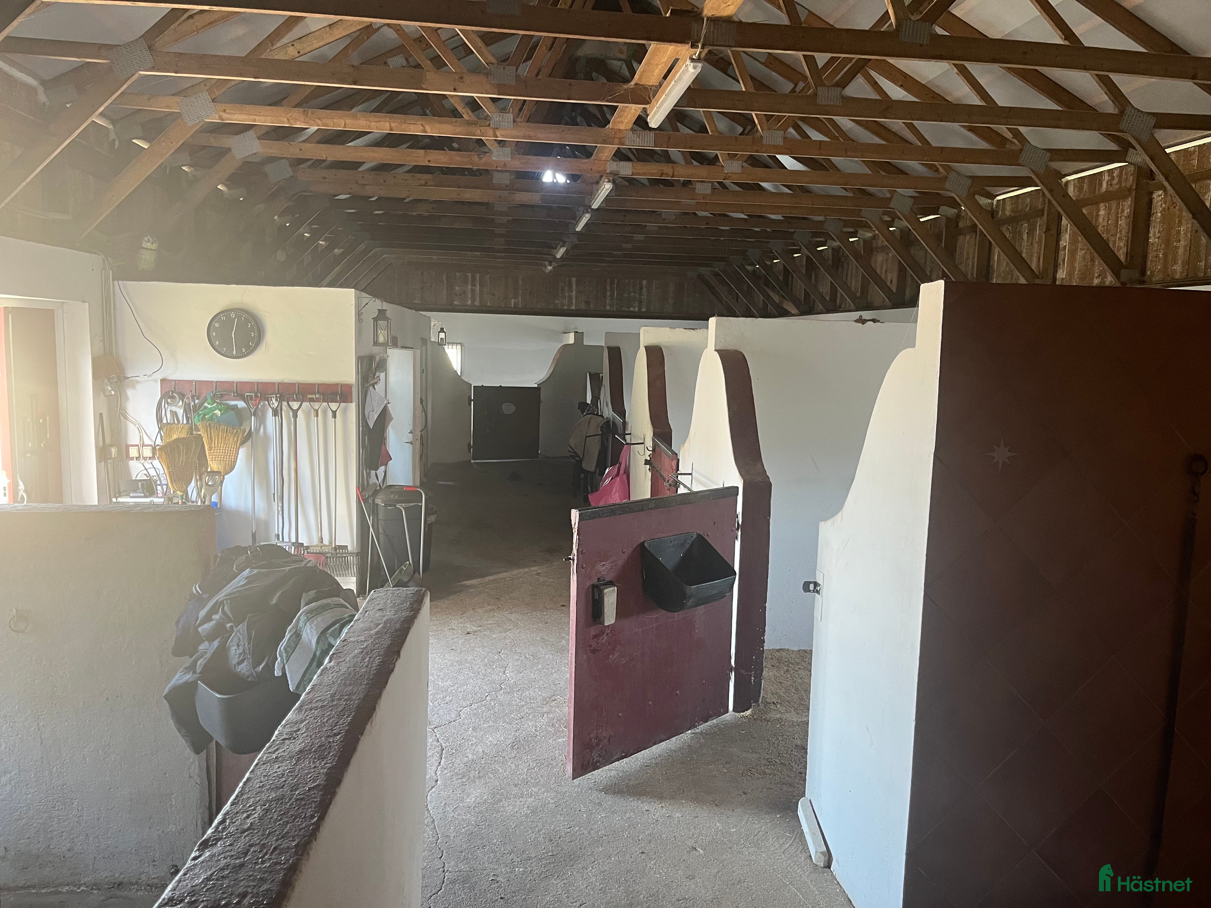  stallplats Lediga boxar - Annons 3