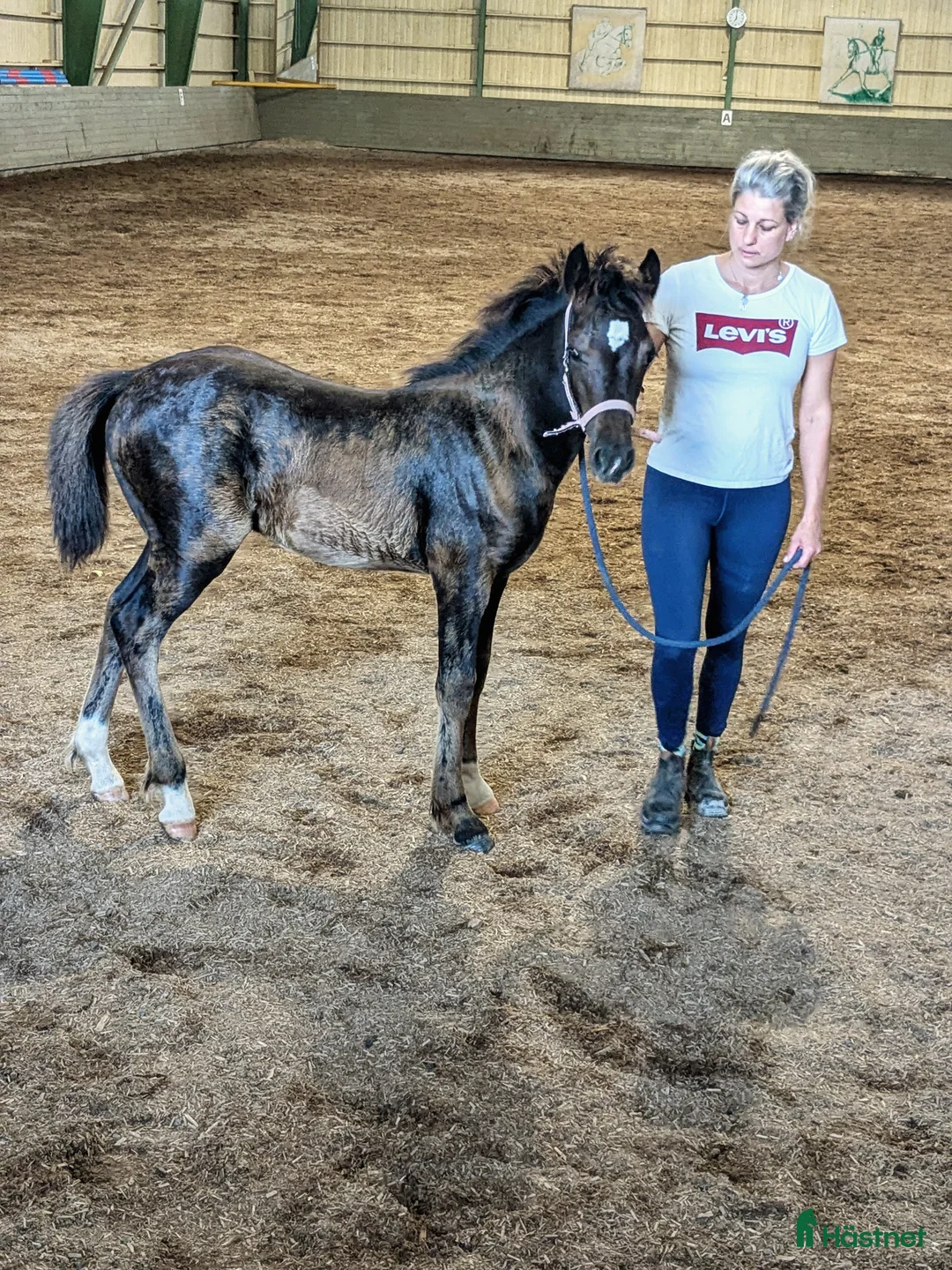 Galleribild {{count}}