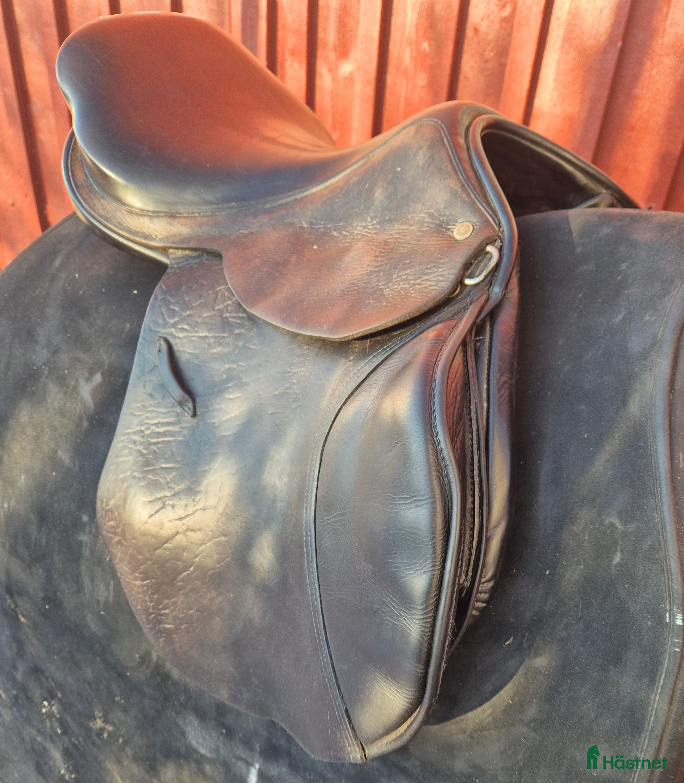 Sadlar hästutrustning Fin brun jensen Courageux hoppsadel i Löddeköpinge - Annons 4