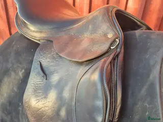 Sadlar hästutrustning Fin brun jensen Courageux hoppsadel i Löddeköpinge - Annons 4