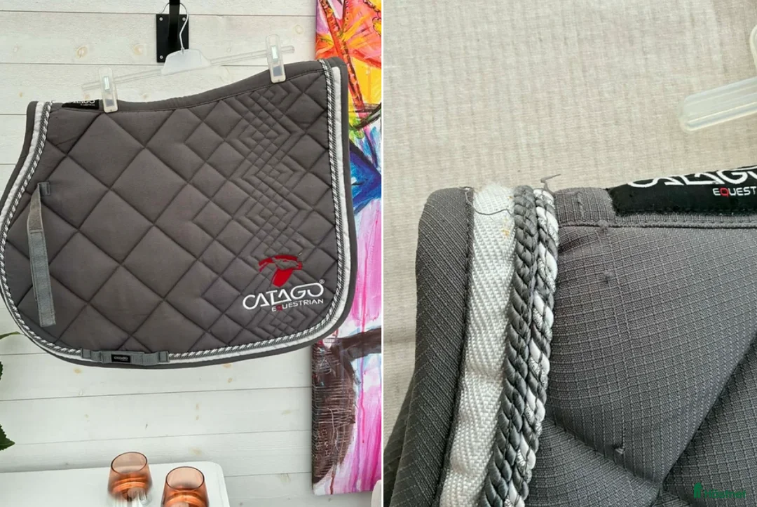 Schabrak & Vojlockar hästutrustning till salu: Catago schabrak 17 – grått i bra skick - Annons 1