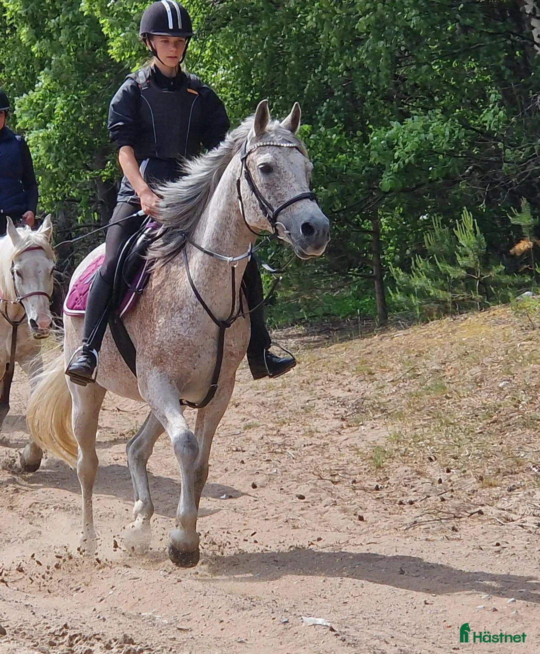  medryttarhäst finnes: Medryttare till 2 D-ponnies i Västerhaninge - Annons 3