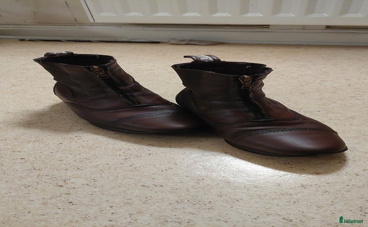 Övrig Ryttarutrustning ryttarutrustning till salu i Veddige - Annons 15