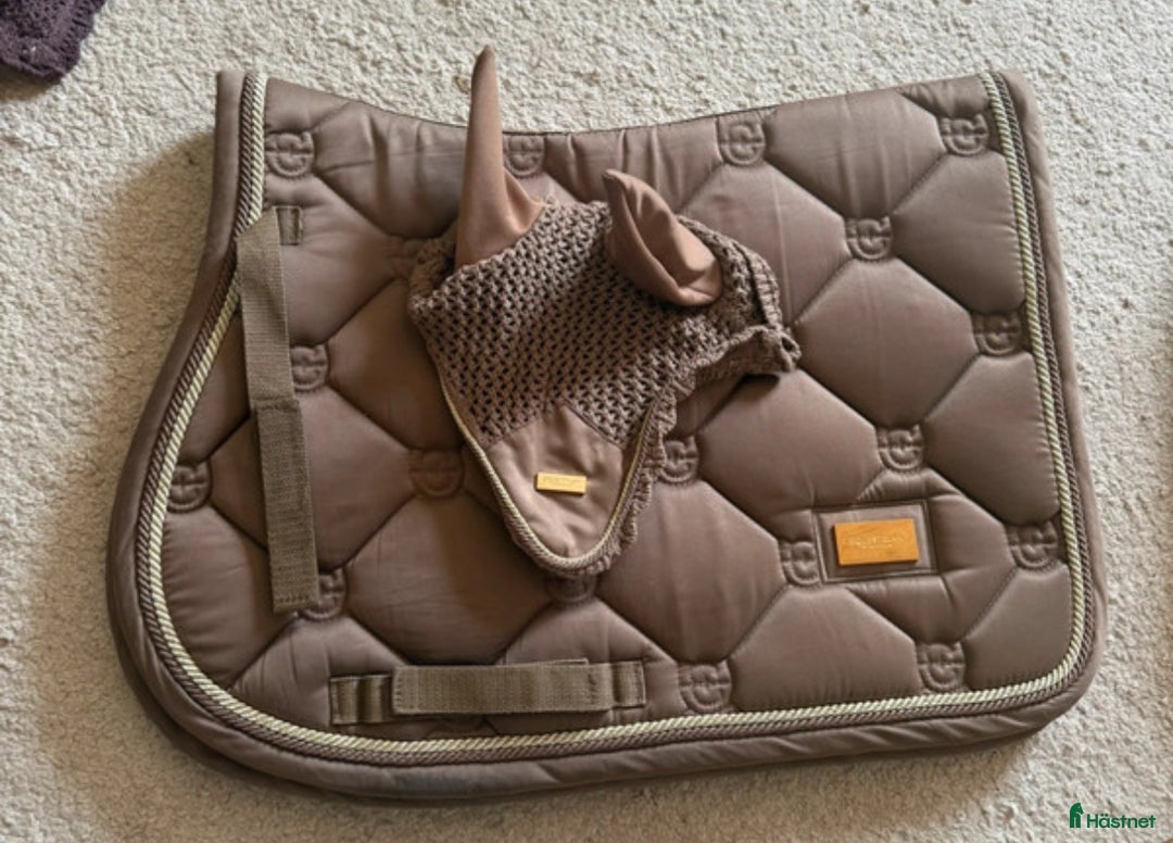 Schabrak & Vojlockar hästutrustning till salu: Fint sett i Mörkö - Annons 1