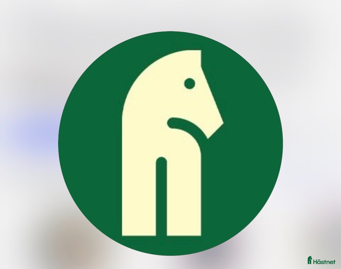  hästar Dressyr häst till satsande junior  i Enköping - Annons 1