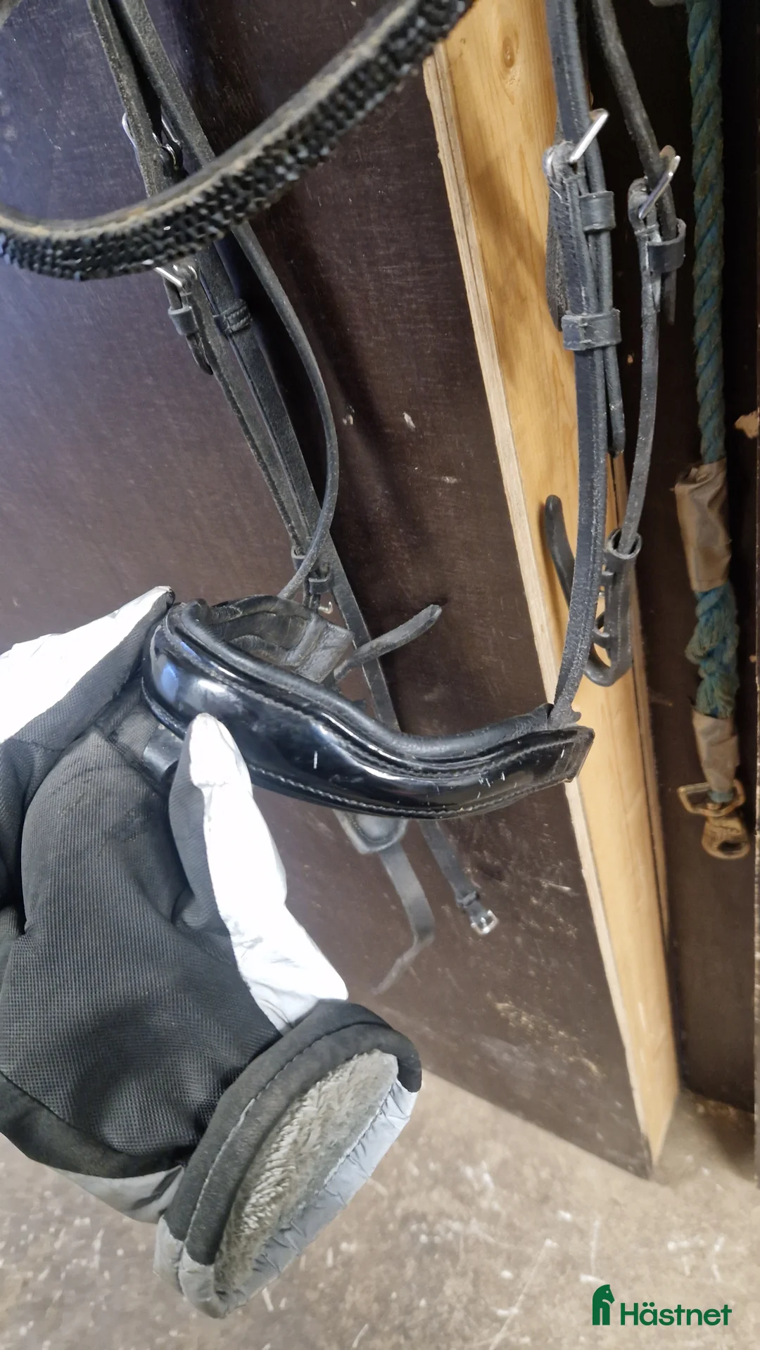 Träns hästutrustning till salu: Dressyrträns - Annons 2