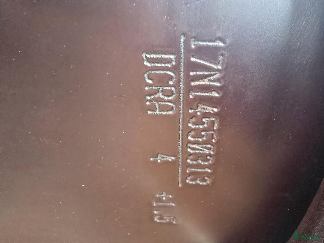 Sadlar hästutrustning till salu: Amerigo Cortina dressyr 17’ i Oskarshamn - Annons 5