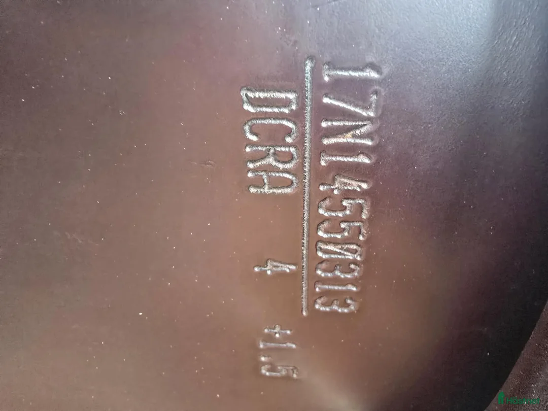 Sadlar hästutrustning till salu: Amerigo Cortina dressyr 17’ i Oskarshamn - Annons 5