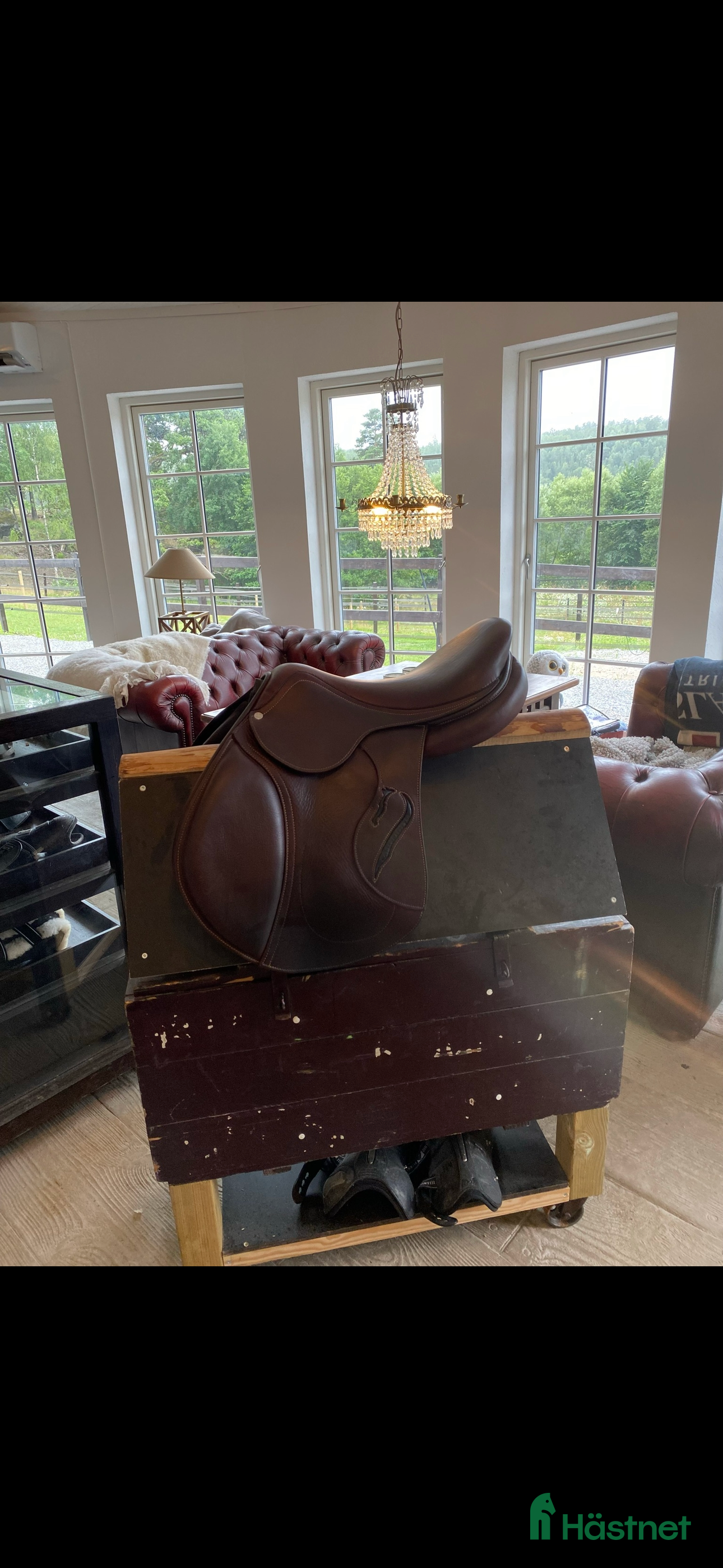 Sadlar hästutrustning till salu: Antares evolution  i Ekerö - Annons 1