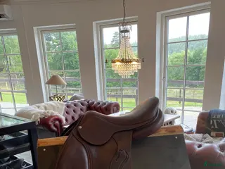 Sadlar hästutrustning till salu: Antares evolution i Ekerö - Annons 1