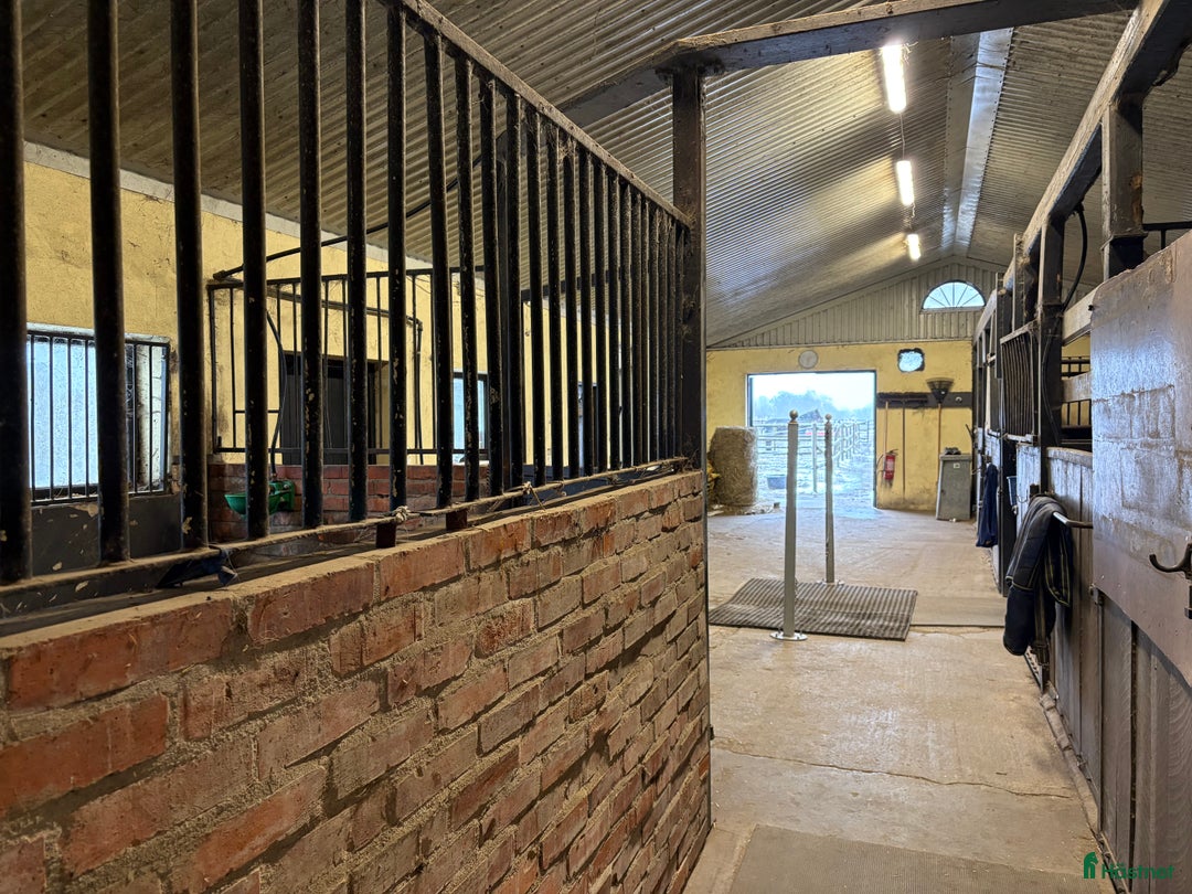  lägenhet till salu: Uthyres! Lägenhet med möjlighet till boxplats  i Vollsjö - Annons 10