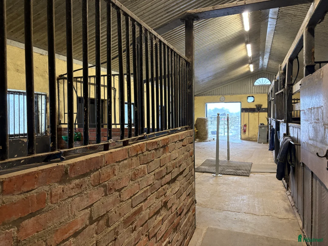  lägenhet till salu: Uthyres! Lägenhet med möjlighet till boxplats  i Vollsjö - Annons 10