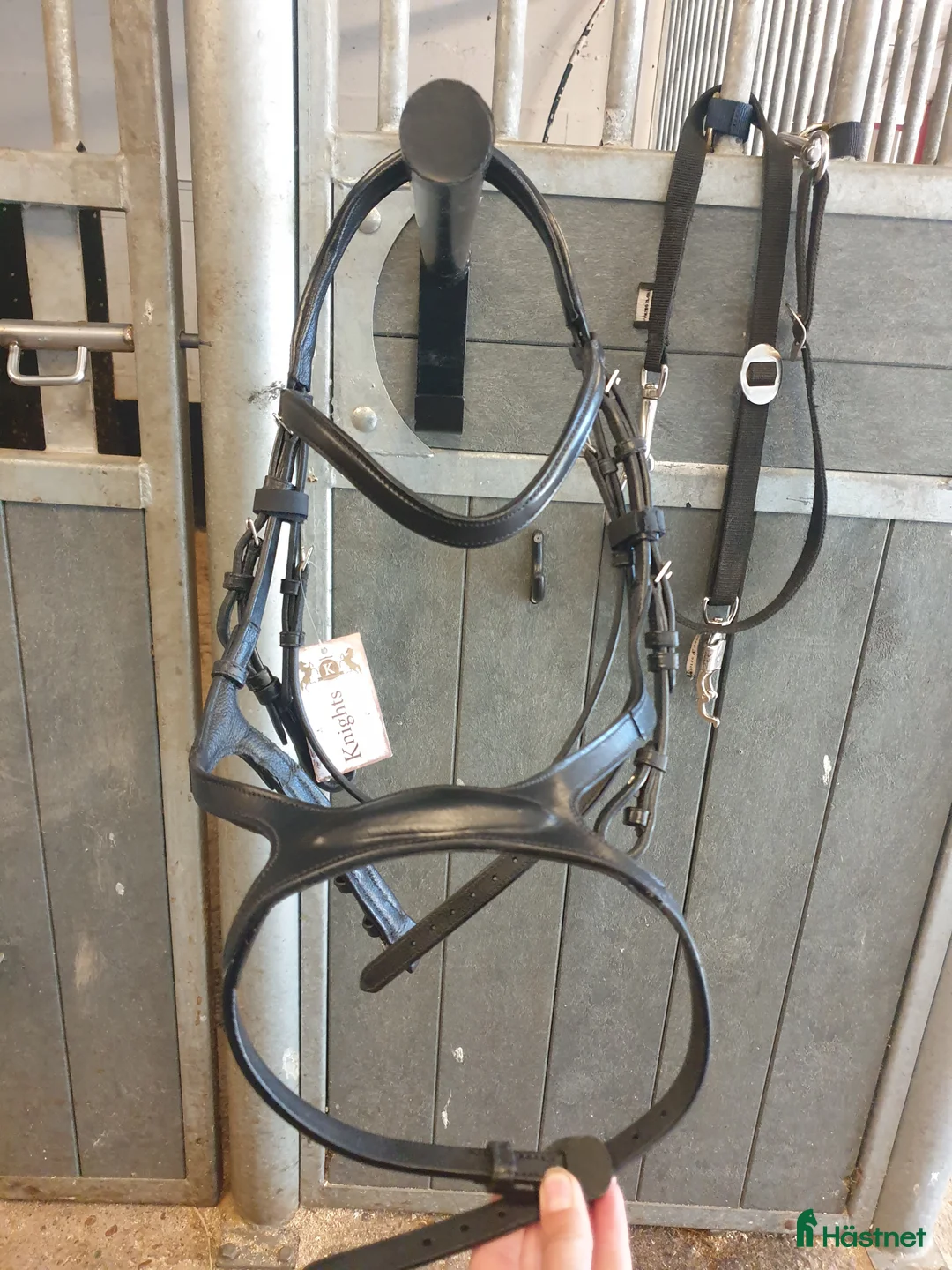 Träns hästutrustning till salu: Nytt Knights Träns! - Annons 3