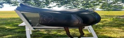 Sadlar hästutrustning till salu: Equipe Olympia brun i Rydsgård - Annons 1