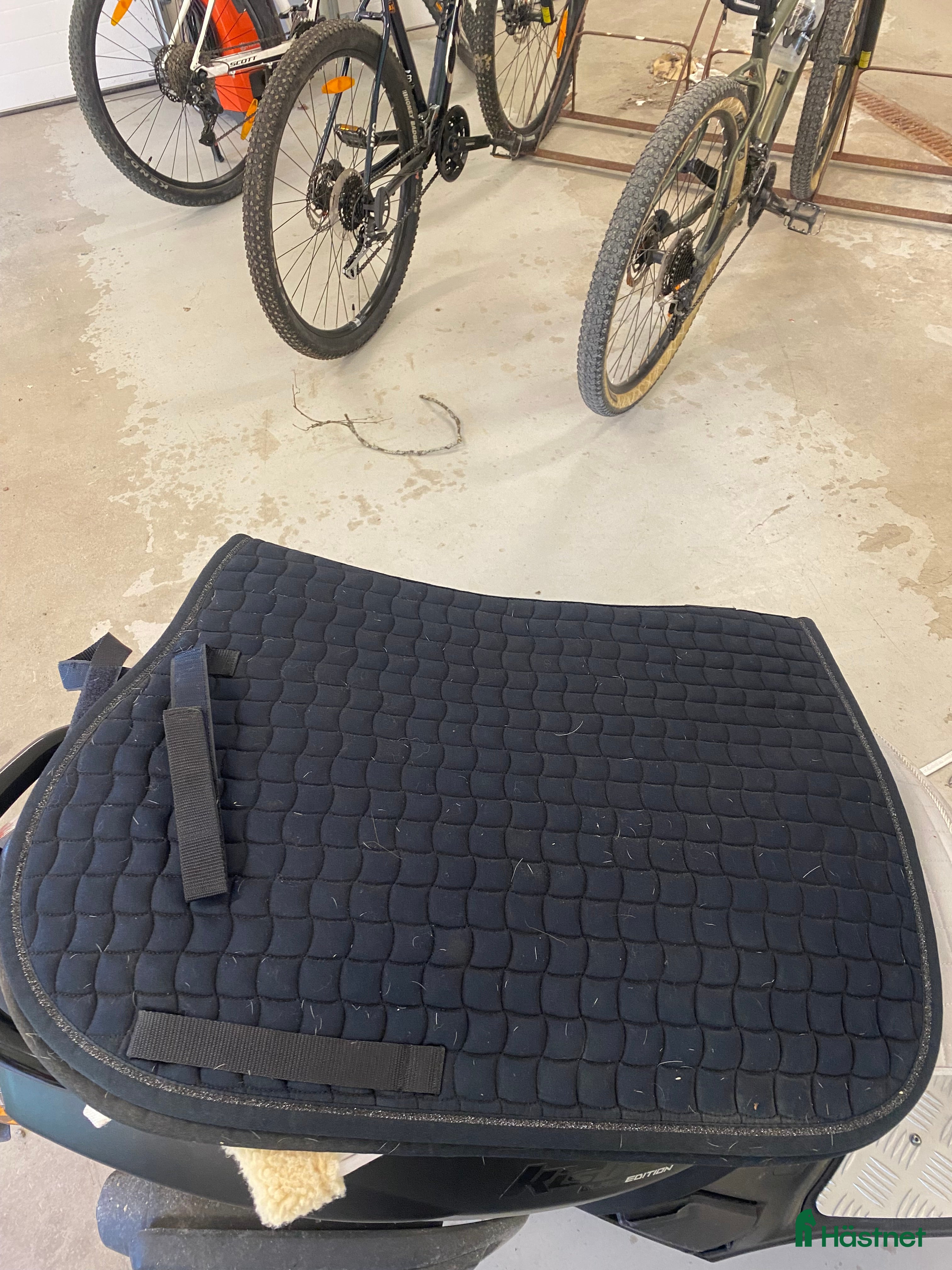 Övrig Hästutrustning hästutrustning till salu: SÄLJER OLIKA HÄSTSAKET  - Annons 2