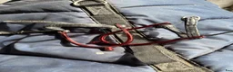 Övrig Hästutrustning hästutrustning till salu: Utrensning! - Annons 12