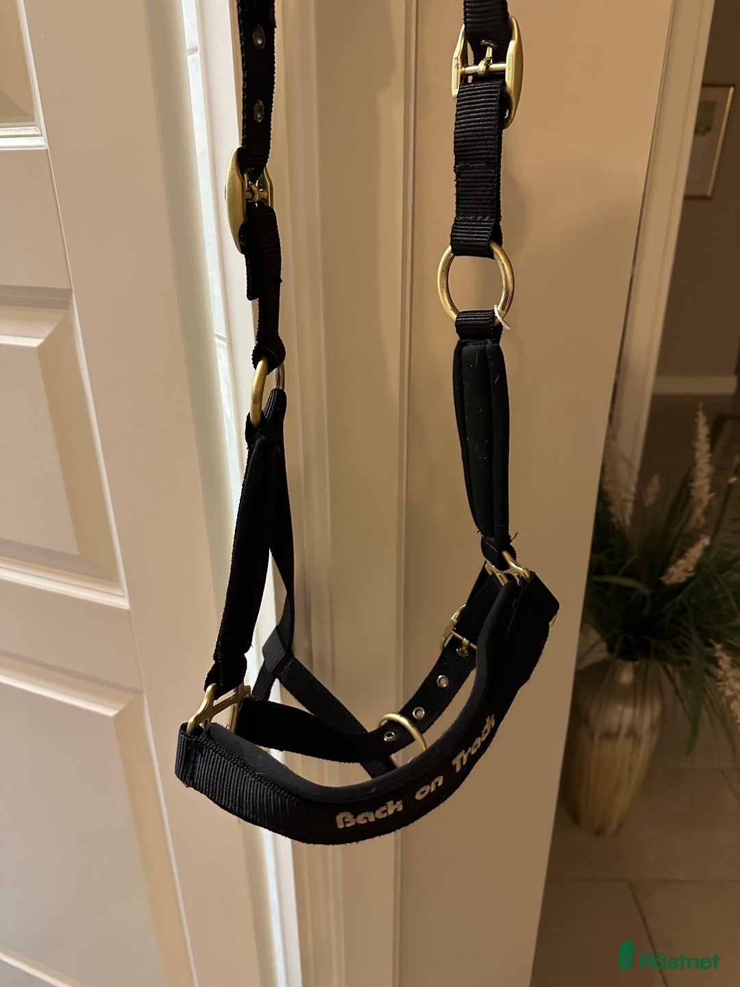 Övrig Hästutrustning hästutrustning till salu: Nästan oanvänd grimma i Österhaninge - Annons 1