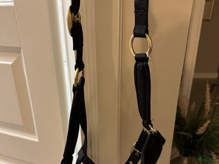 Övrig Hästutrustning hästutrustning till salu: Nästan oanvänd grimma i Österhaninge - Annons 2