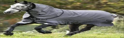 Täcken hästutrustning till salu: Horseware Amigo Bravo 12 Reflectech Plus - Annons 1