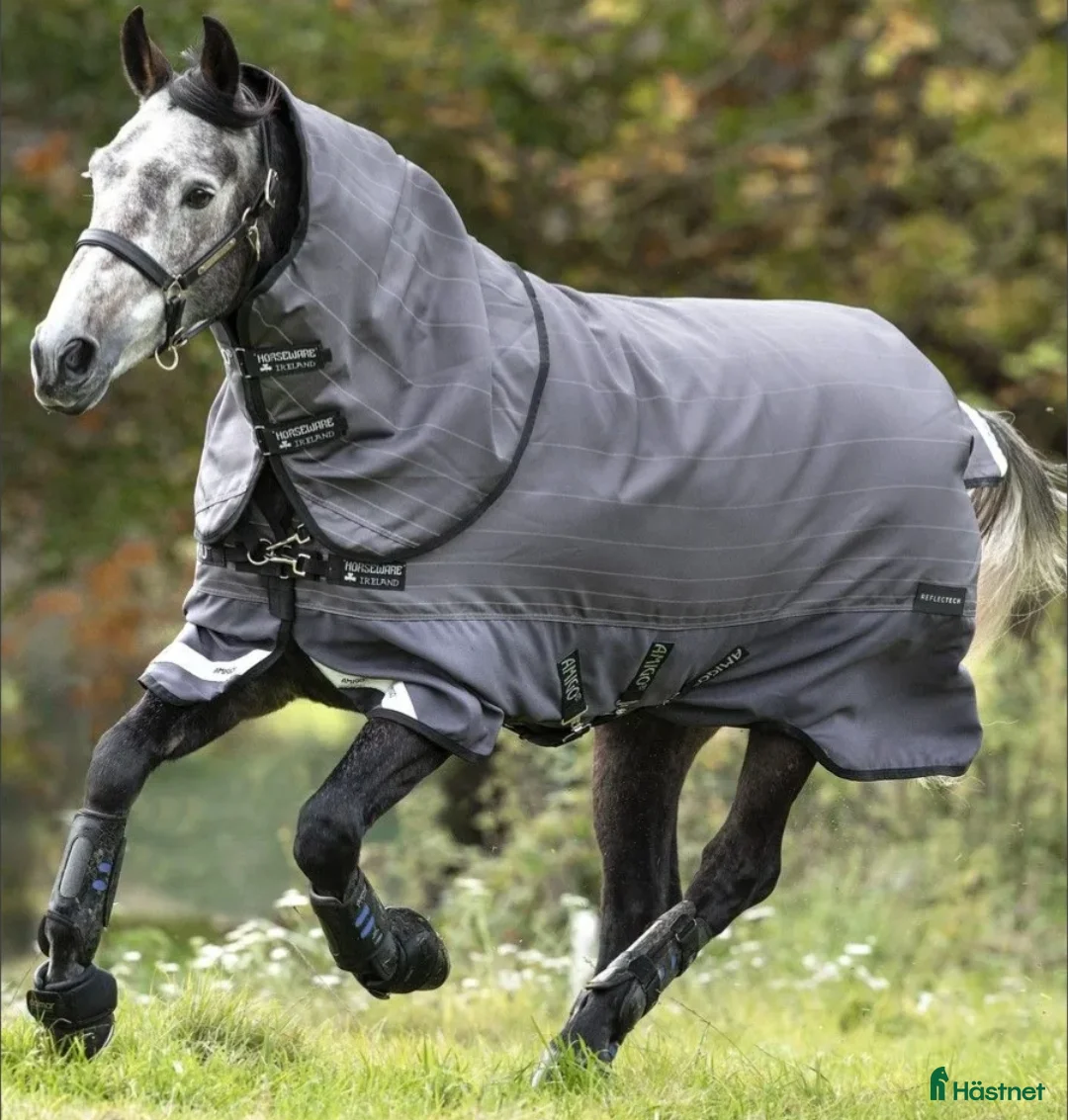 Täcken hästutrustning till salu: Horseware Amigo Bravo 12 Reflectech Plus - Annons 1
