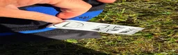 Täcken hästutrustning till salu: Guldmane spikmattetäcke i Mariefred - Annons 6