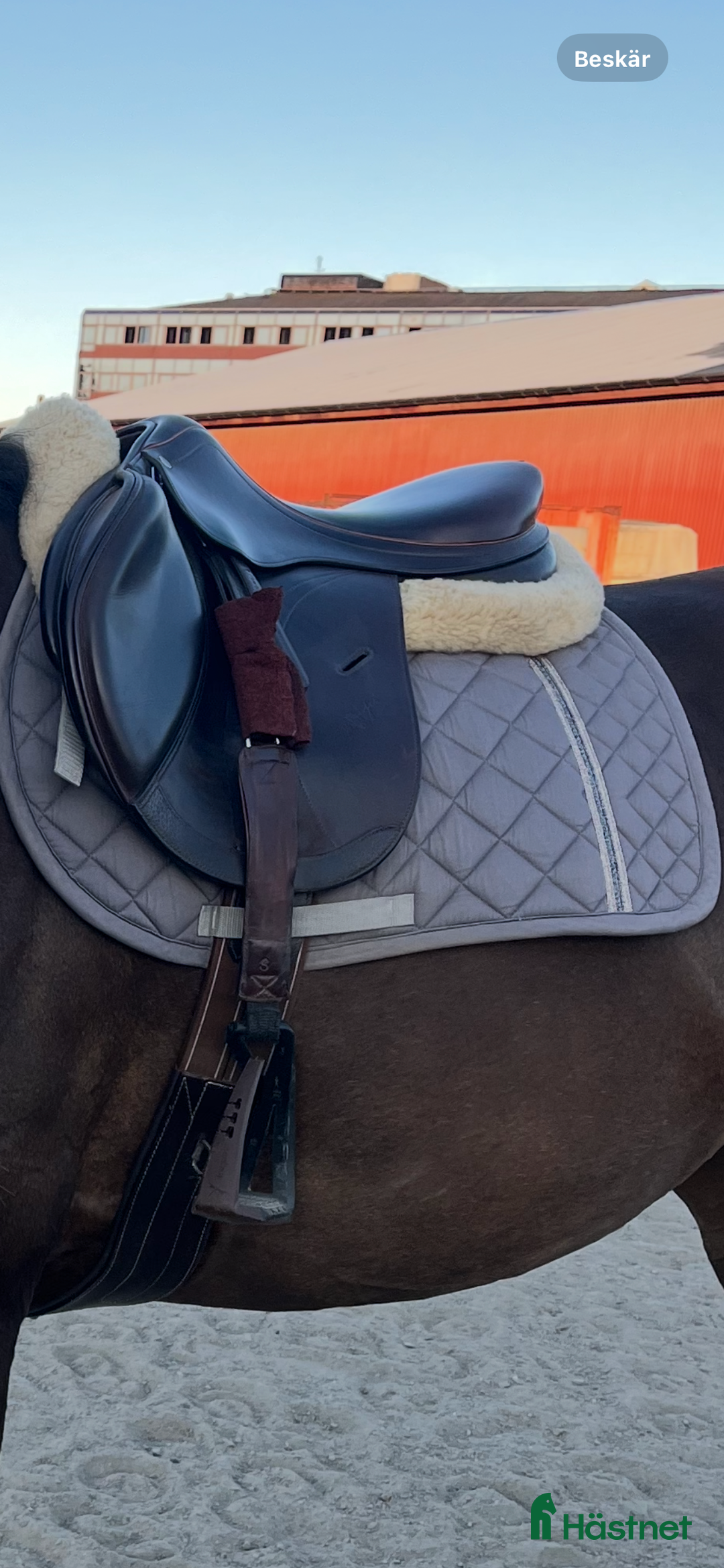 Schabrak & Vojlockar hästutrustning till salu: SÖKER  i Västra Frölunda - Annons 1