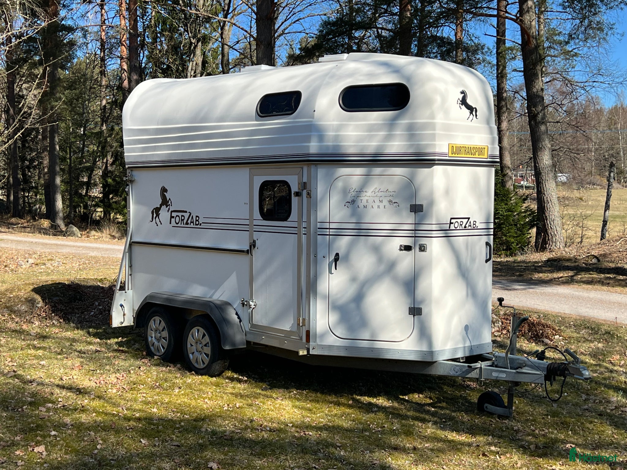 Hästtransporter  fordon & transport till salu: Forzab Cavallo SEH 20 - Annons 1