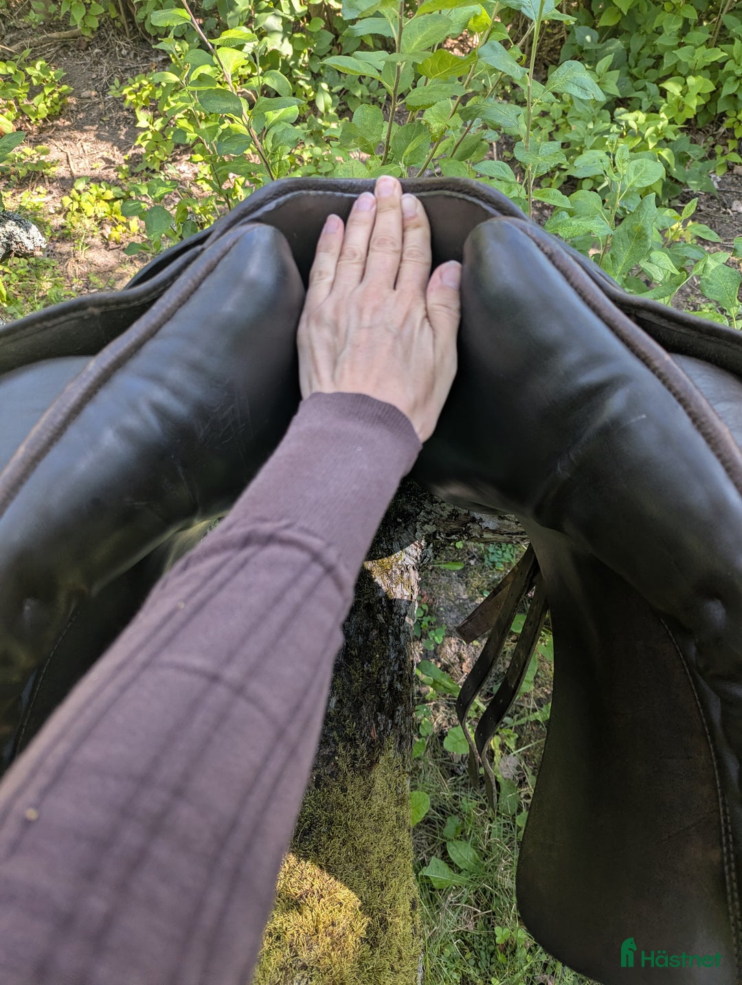 Sadlar hästutrustning till salu: Morris Nolan dressyrsadel  i Harbo - Annons 4