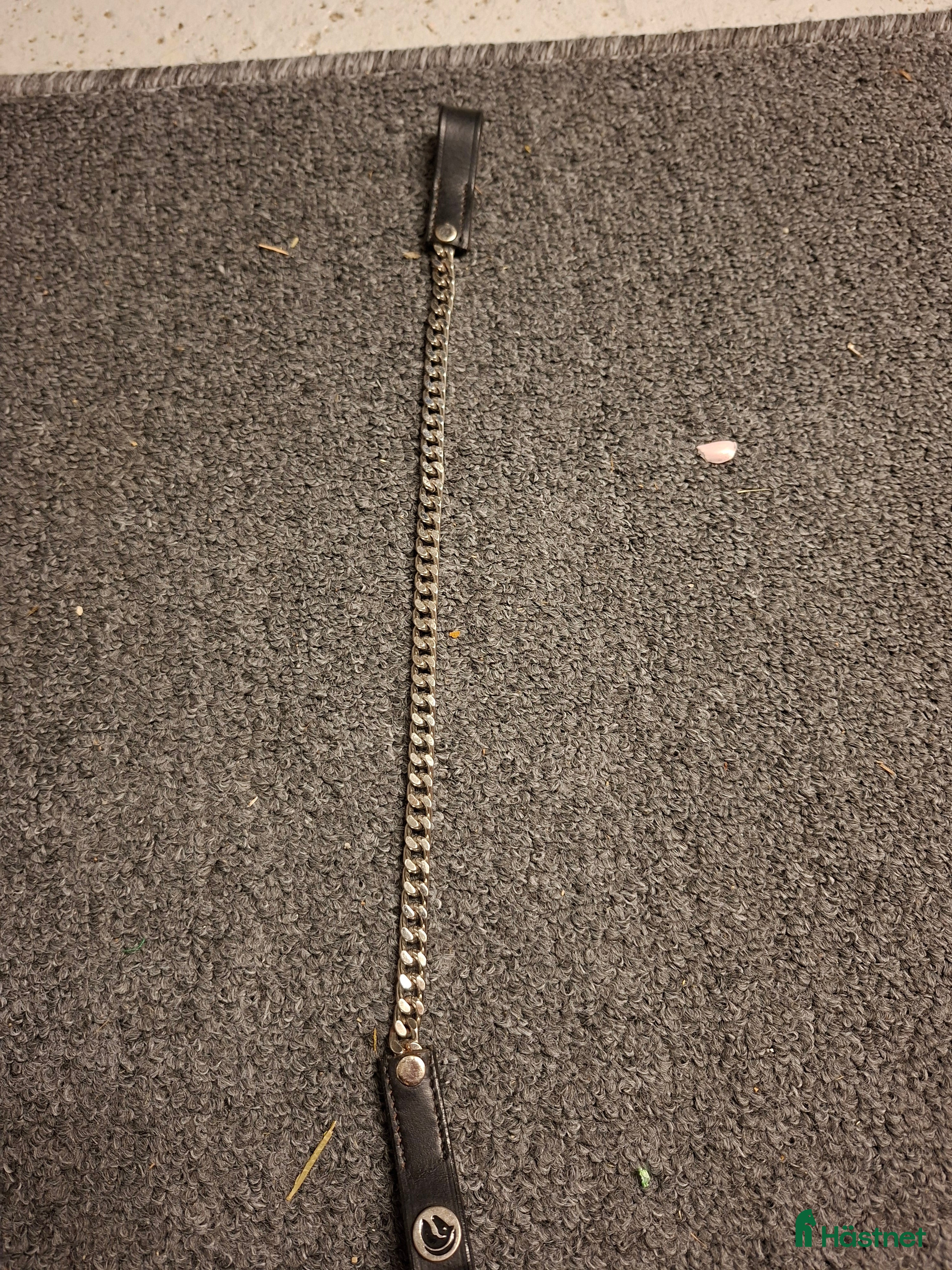 Övrig Hästutrustning hästutrustning till salu: Pannband. Reflex - Annons 19