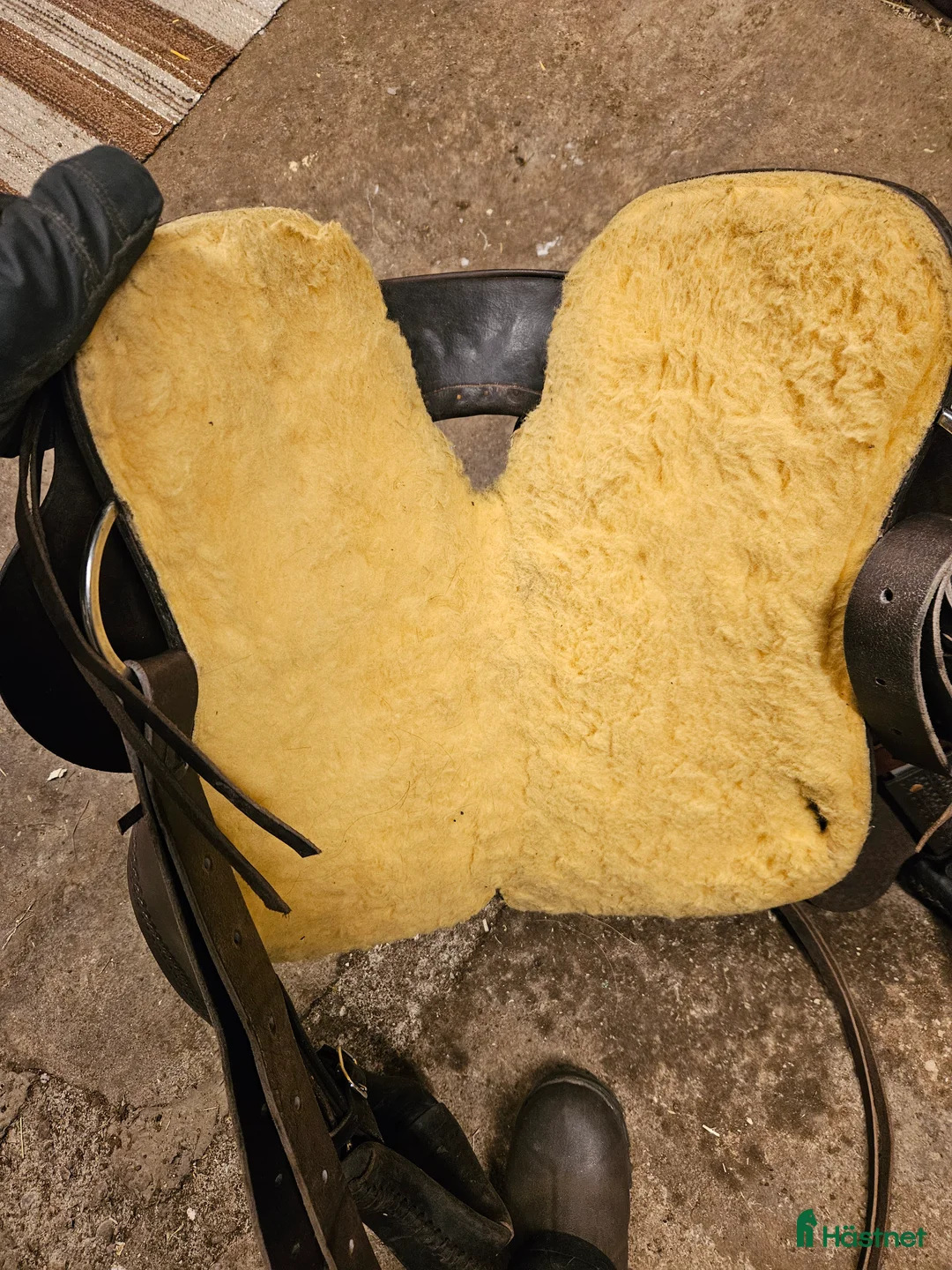 Sadlar hästutrustning till salu: Freemax shortback 16"6 - Annons 2