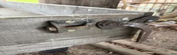 Körvagnar körning till salu: Flakvagn - Annons 3