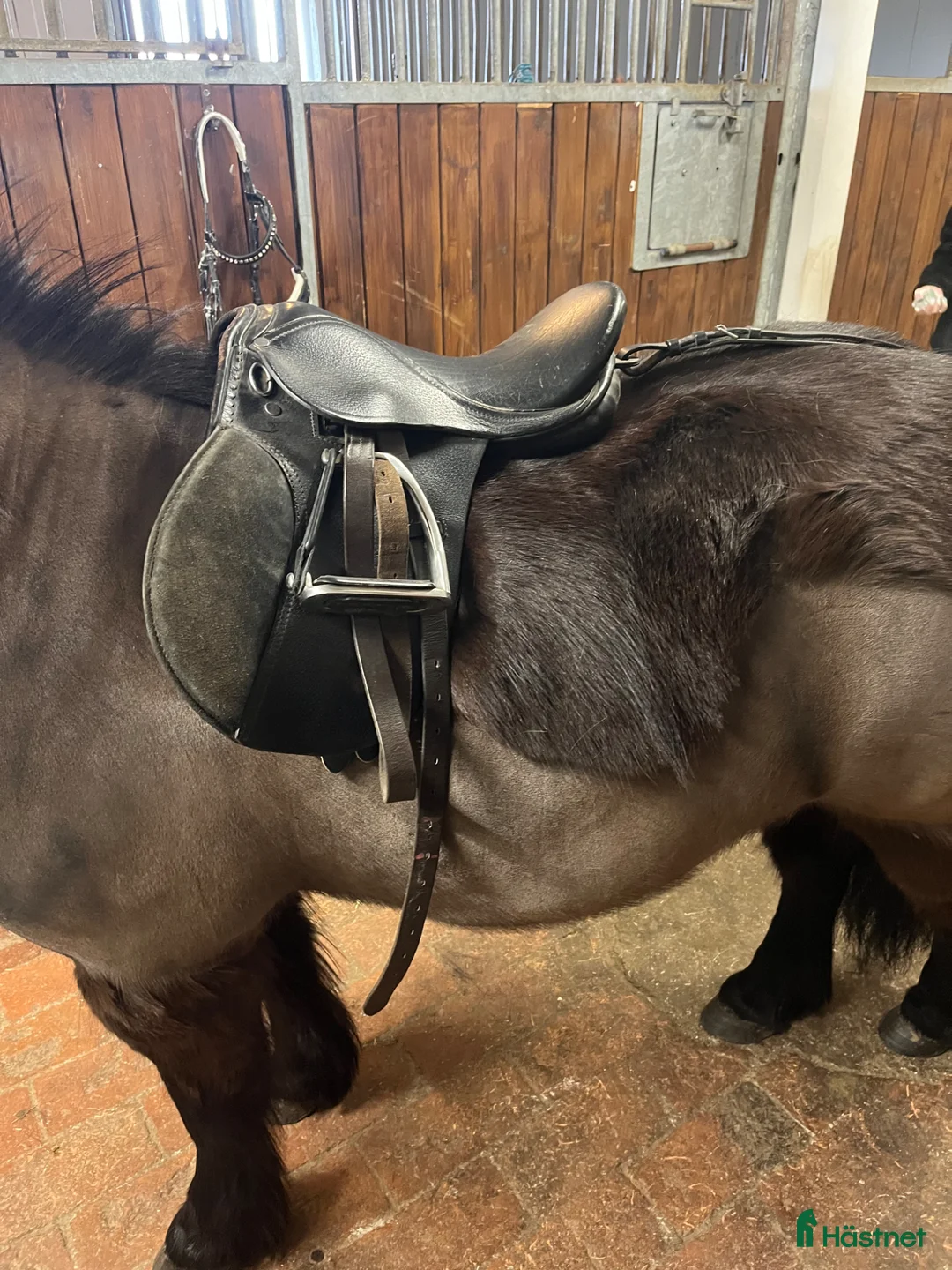 Sadlar hästutrustning till salu: Ponnysadel - Annons 1